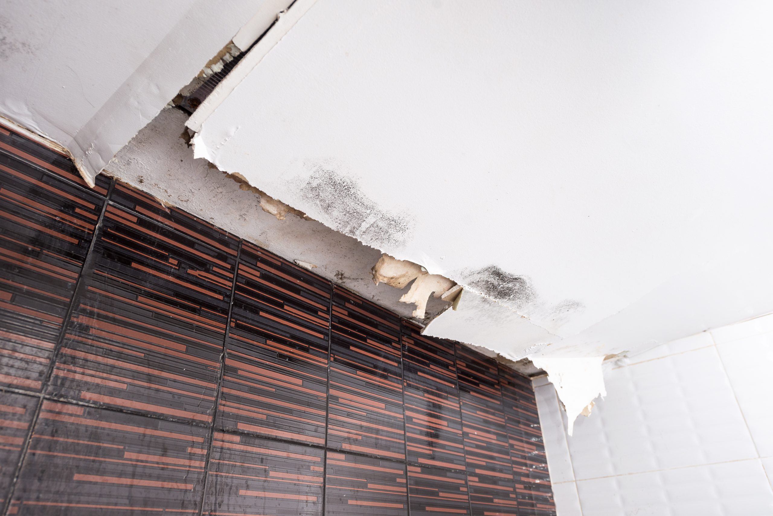 water damage roof repair